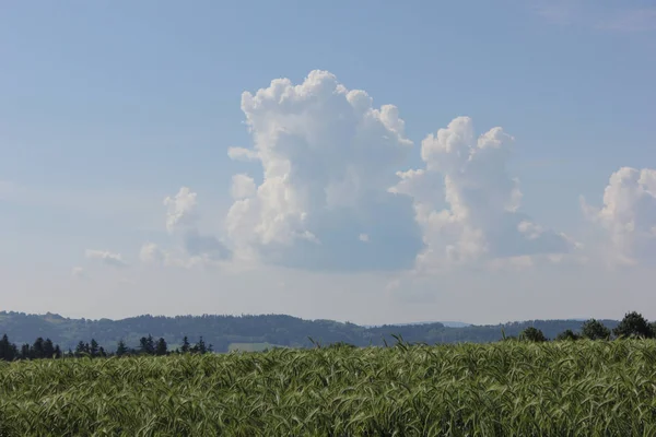Día Muy Soleado Junio Sur Alemania Ven Nubes Cúmulos Verano —  Fotos de Stock