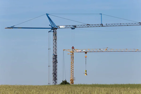 Einem Sonnigen Junitag Süddeutschland Sieht Man Kraniche Unter Blauem Sommerhimmel — Stockfoto