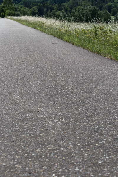南ドイツで 月に非常に晴れた日にトウモロコシ畑と芝生の下に自転車用トレイルが表示します — ストック写真
