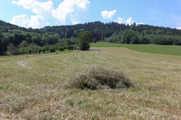 Einem Sonnigen Junitag Süddeutschland Sieht Man Heu Heugeräte Und Bauern — Stockfoto