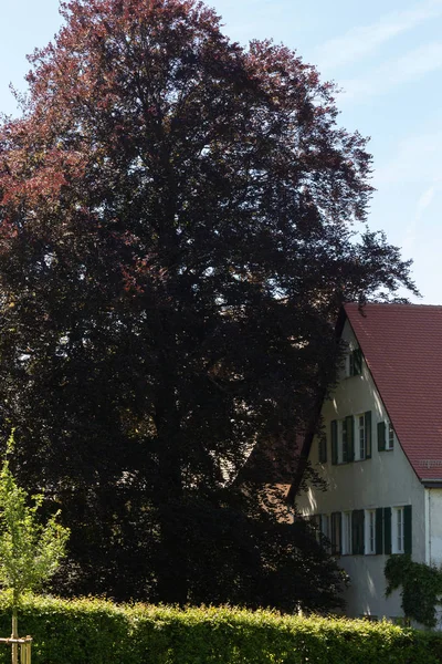 Día Muy Soleado Junio Sur Alemania Ven Casas Rurales Fachadas — Foto de Stock