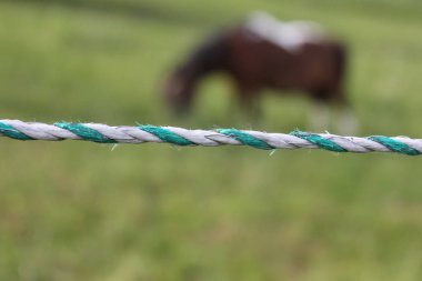 çok güneşli bir akşam Güney Almanya'da senin çit hayvanlar ve atları güvenli ve huzurlu kendi alanında tutmak için gerekli görebilir miyim