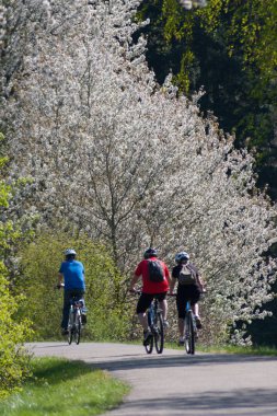 İnsanlar binicilik bisiklet springtime.
