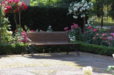 Haziran ayında Güney Almanya çok güneşli bir günde gül pembe, kırmızı, sarı, beyaz ve turuncu gibi birçok renkte görmek