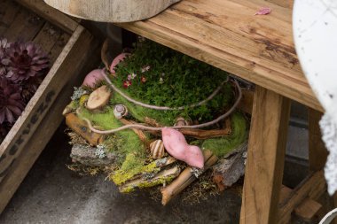 renkli bitkiler ve yararlı nesneler ile Bahçe Mağazası