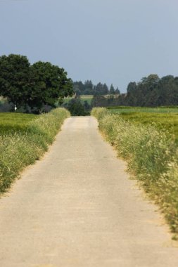 Sen görmek Ayrıntılar ve nesnelerin renklerinin sürücüye veya bir yere yürüyerek insanların çok güneşli bir Haziran ayında Güney Almanya