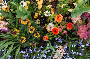 yağmur damlaları etkilerini çiçeği tarafından tamamen farklı görünüyor çiçek yağmurlu bir günde Güney Almanya görünümünde rokoko parkta