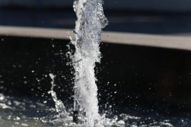 Haziran ayında Güney Almanya çok güneşli bir günde parlak su inci üzerinde tarihi bir bina önünde bir çeşme görmek