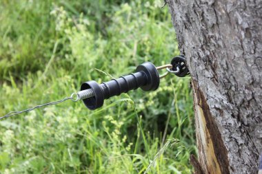 çok güneşli bir akşam Güney Almanya'da senin çit hayvanlar ve atları güvenli ve huzurlu kendi alanında tutmak için gerekli görebilir miyim