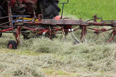 Haziran ayında Güney Almanya çok güneşli bir günde gördüğünüz traktör ve çiftçi kendi hayvanlar yiyecek saman yapma