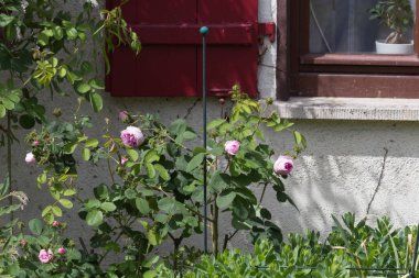 Sen görmek detayları ve renkleri yazlık ülke binaları ve sokakları vintage dekorasyon ile Haziran ayında Güney Almanya çok güneşli bir günde