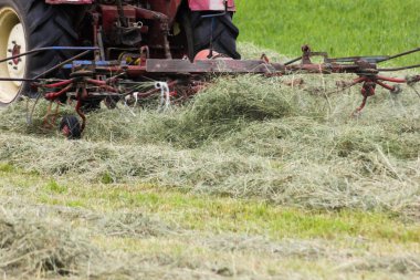 Haziran ayında Güney Almanya çok güneşli bir günde gördüğünüz traktör ve çiftçi kendi hayvanlar yiyecek saman yapma