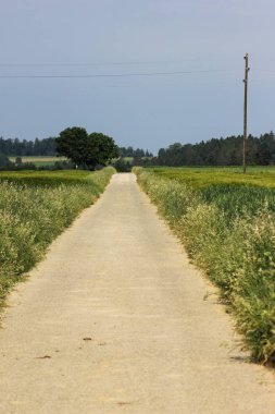 Sen görmek Ayrıntılar ve nesnelerin renklerinin sürücüye veya bir yere yürüyerek insanların çok güneşli bir Haziran ayında Güney Almanya