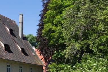 Haziran ayında Güney Almanya çok güneşli bir günde kırsal evleri ve cepheler ağaçlar ve bitkiler küçük köy ve yerler etrafında görmek