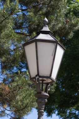 Haziran ayında Güney Almanya çok güneşli bir günde kırsal evleri ve cepheler ağaçlar ve bitkiler küçük köy ve yerler etrafında görmek