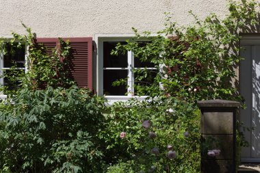 Haziran ayında Güney Almanya çok güneşli bir günde kırsal evleri ve cepheler ağaçlar ve bitkiler küçük köy ve yerler etrafında görmek