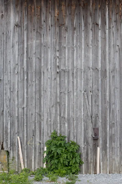 from long time sun shine color of plain wood looks distressed and like used long time