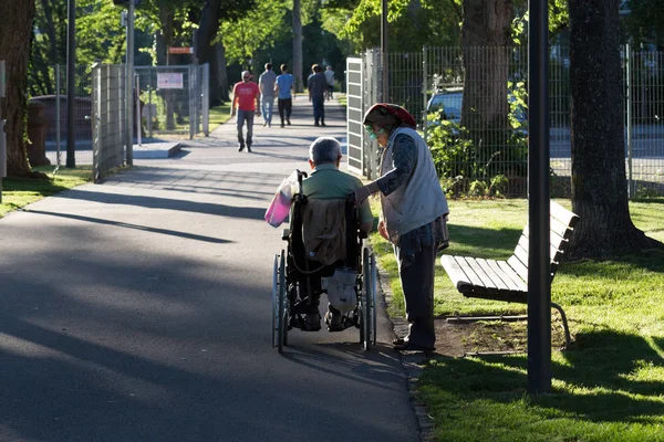 Haziran Ayında Bir Şehir Parkının Merkezi Güney Almanya Bir Akşam — Stok fotoğraf