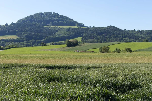 Einem Sonnigen Junitag Süddeutschland Sieht Man Landschaft Unter Blauem Sommerhimmel — Stockfoto