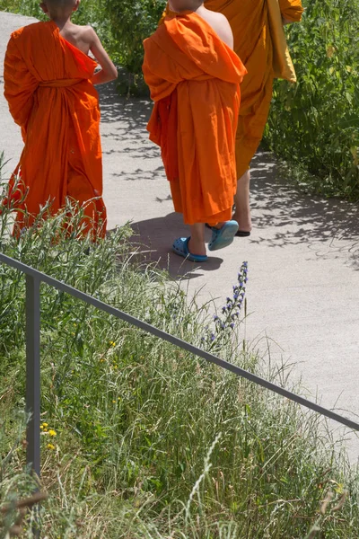 Dia Muito Ensolarado Junho Alemanha Sul Você Monges Tibetanos Solteiros — Fotografia de Stock