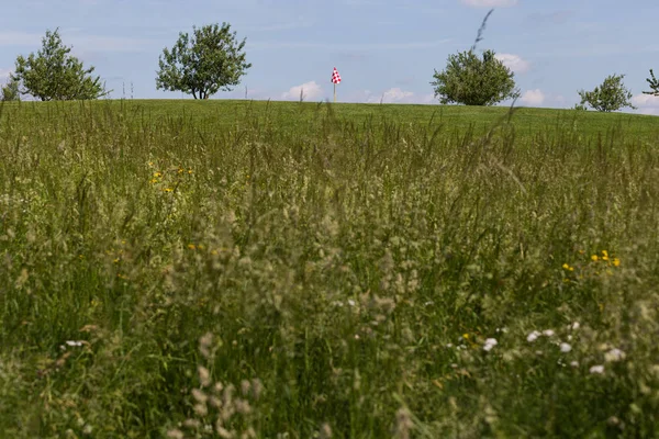 Very Sunny Day May South Germany You See Golf Lawn — Stock Photo, Image