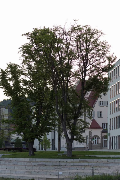 Mycket Trevlig Solig Dag Slutet Kan Södra Tyskland Klart Geometri — Stockfoto