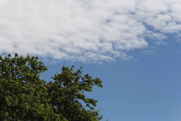 南ドイツで 月に非常に晴れた日で 田舎の風景に夏雲と青空を参照してください — ストック写真