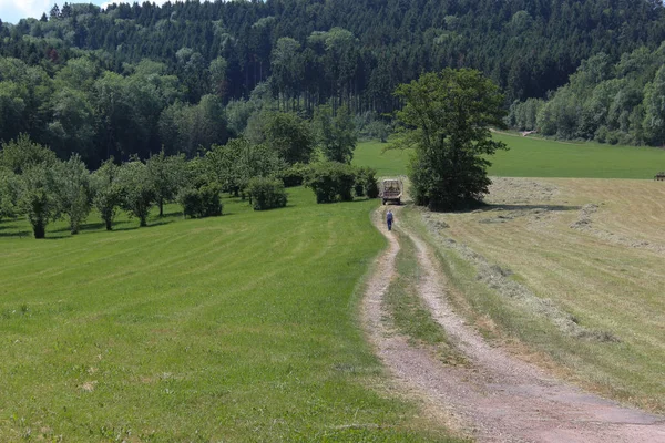 Einem Sonnigen Junitag Süddeutschland Sieht Man Eine Sommerlandschaft Mit Grünem — Stockfoto