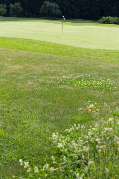 Dia Muito Ensolarado Maio Alemanha Sul Você Gramado Golfe Verde — Fotografia de Stock