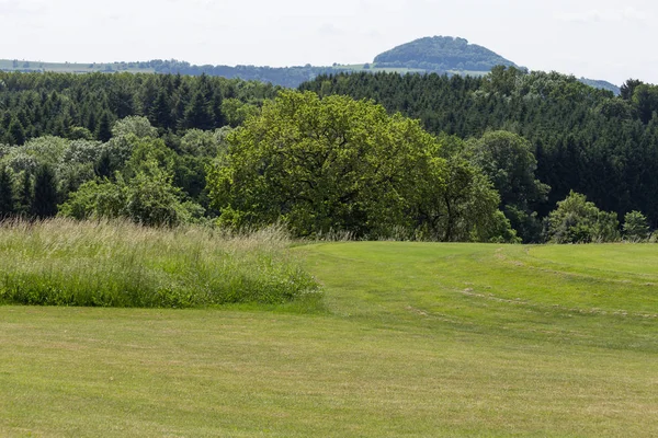 Very Sunny Day May South Germany You See Golf Lawn — Stock Photo, Image