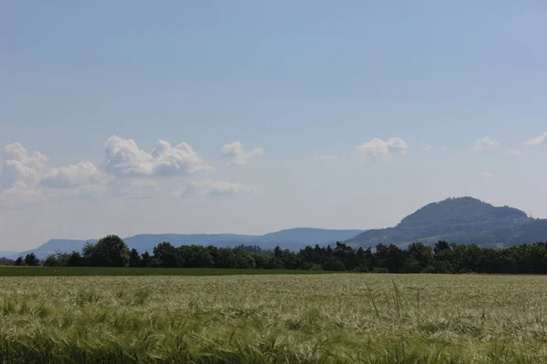 Día Muy Soleado Junio Sur Alemania Ven Nubes Cúmulos Verano —  Fotos de Stock