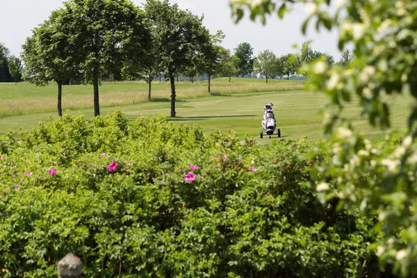 Nagyon Süt Nap Dél Németországban Lássák Golf Zöld Gyep Bíróság — Stock Fotó
