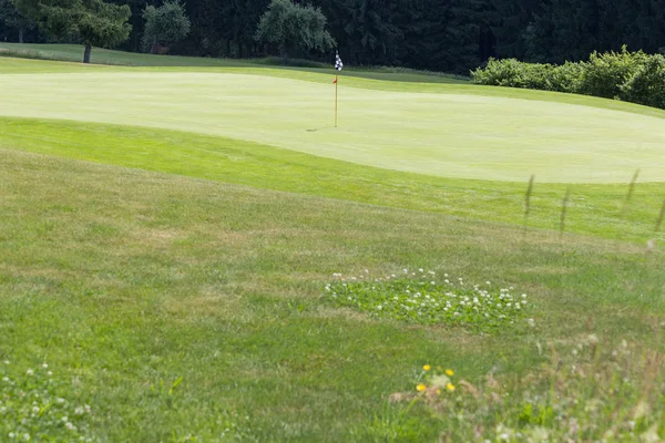 Día Muy Soleado Mayo Sur Alemania Césped Golf Verde Corte —  Fotos de Stock