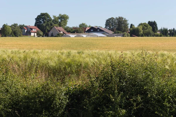 Einem Sonnigen Junitag Süddeutschland Sieht Man Landschaft Unter Blauem Sommerhimmel — Stockfoto