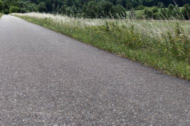 Haziran ayında Güney Almanya çok güneşli bir günde bir iz Bisiklet mısır tarlası ve otların altında görmek