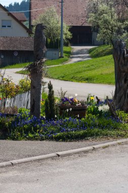 Güney Almanya kırsal kırsal cottage alanının bahar uyanış.