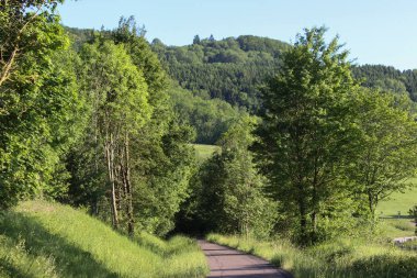 bir çok güzel bir güneşli gün ucunda Güney Almanya'da berrak mavi gökyüzünün ve yeni çim ve ağaçların yaprakları çok parlak ve renkli görünebilir