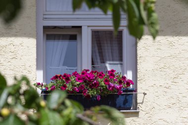 Haziran ayında Güney Almanya çok güneşli bir günde ayrıntıları ve renkleri yazlık ülke ahşap çerçeve yapılar ve vintage dekorasyon ile sokaklarda görmek