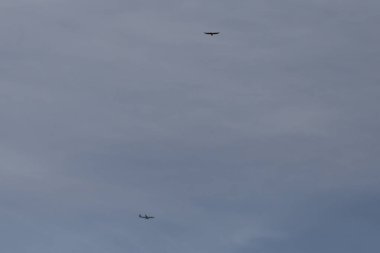 Haziran ayında Güney Almanya çok güneşli bir günde kuş uçuş mavi renk gökyüzü havada görmek