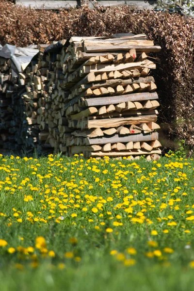 Réveil Printanier Campagne Rurale Allemagne Sud — Photo