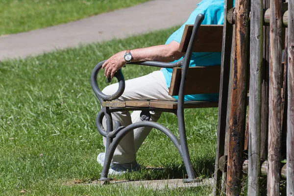 Einem Sonnigen Junitag Süddeutschland Sieht Man Seniorinnen Und Senioren Klosterpark — Stockfoto