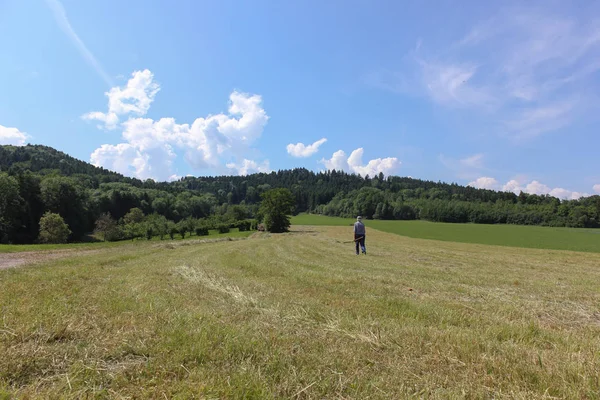 Very Sunny Day June South Germany You See Hay Haying — 图库照片