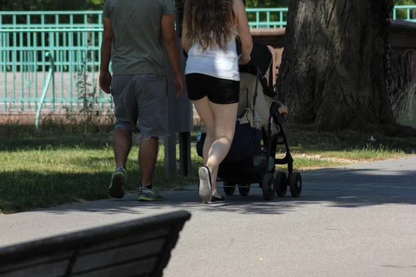 Par Une Journée Très Ensoleillée Juin Allemagne Sud Vous Voyez — Photo