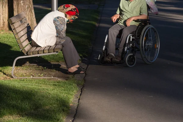 on a evening in june in south germany in center park of a historical city you see couple with wheelchair moving through shadow giving park