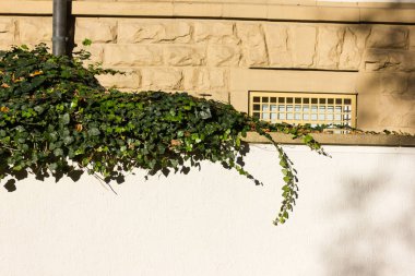 cephe mimarisi ve tencere ve Eylül ayında bir şehir bitkilerin gibi açık ayrıntıları city stuttgart yakınındaki Güney Almanya'da sezon sonbahar