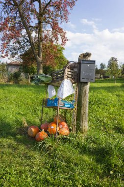 Alman mektupları OUTLILSSHOLVE yeşil çim üzerinde ve sonbahar renk üzerinde ödeme olarak kabak pancar pırasa havuç ve gri göğüs gibi sebzeler itme sepeti kiosk en küçük yerel pazarda çok güneşli Eylül ayında Güney Almanya kahverengi demir raf ile dolu 