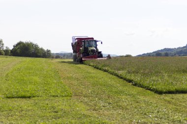 çim kendi yaz çim Güney Almanya kırsal kesimde haying traktör