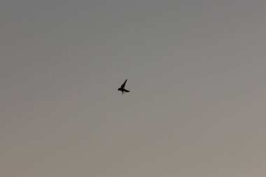 sıcak turuncu, yeşil ve sarı renkler ışıkla Eylül akşamı tarih Pzr sıcak izlenim kırsal peyzaj üzerinde vermek