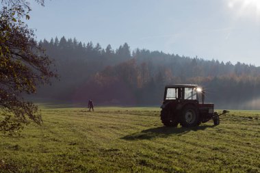 çim sonbahar Kasım güneşli bir günde Münih ve stuttgart yakınındaki Güney Alman kırsalında yan yatan yaşlı çiftçi