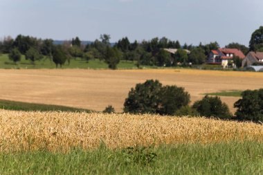 modern mimarisi ile bozulma ısıtmalı havada yaz kırsal kırsal Güney Almanya'da Mısır tarlasında ufukta tarafından